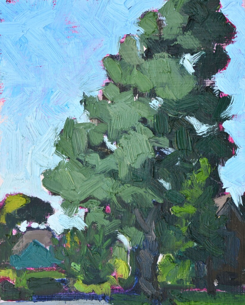 Sarah Arnold - Evergreen Tree, 10" x 8" Oil on Panel